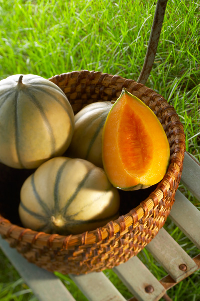 En pique-nique avec un melon Le Rouge Gorge